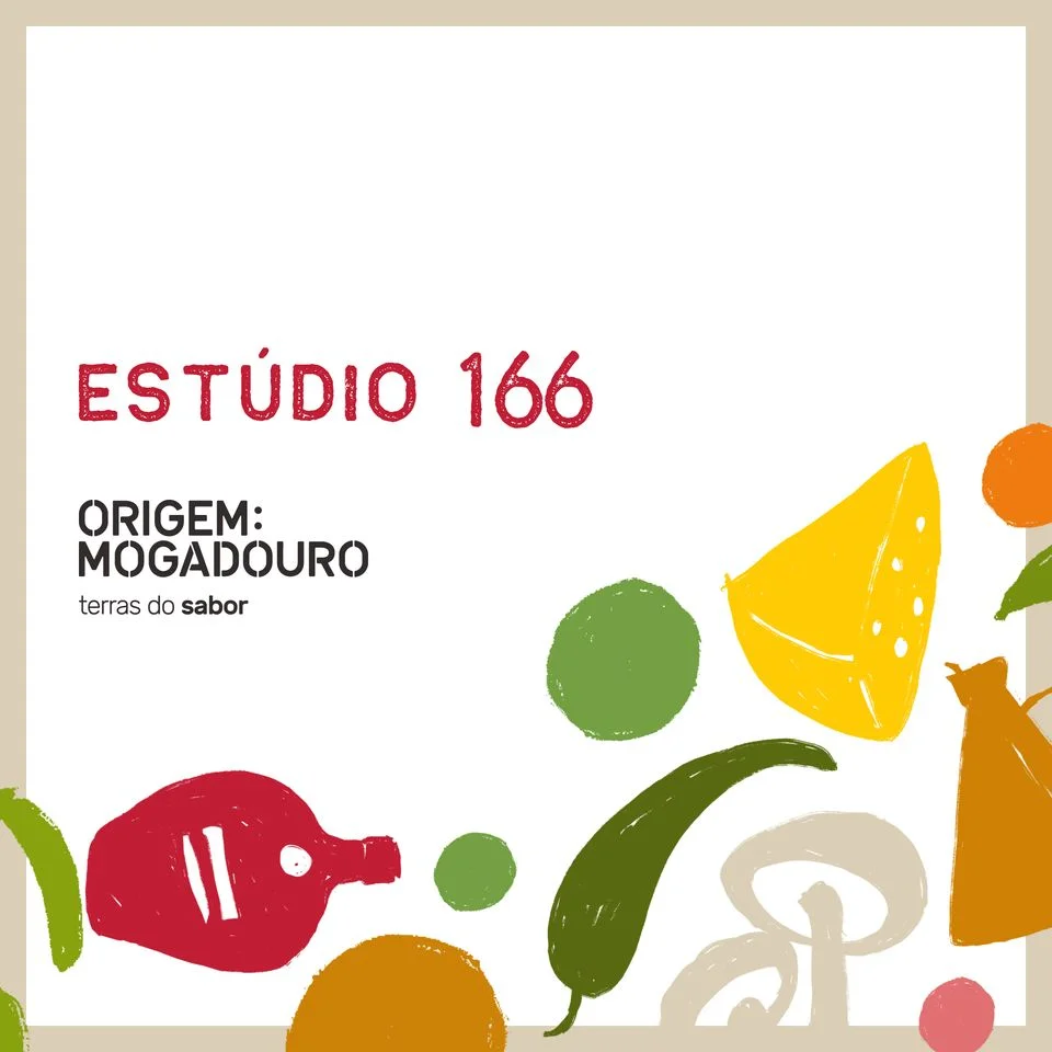 estudio 4