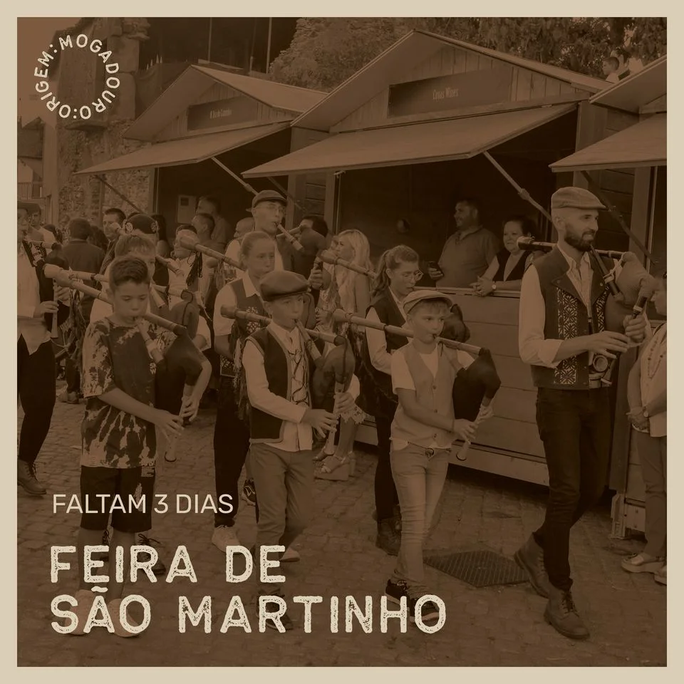 feira 1 1