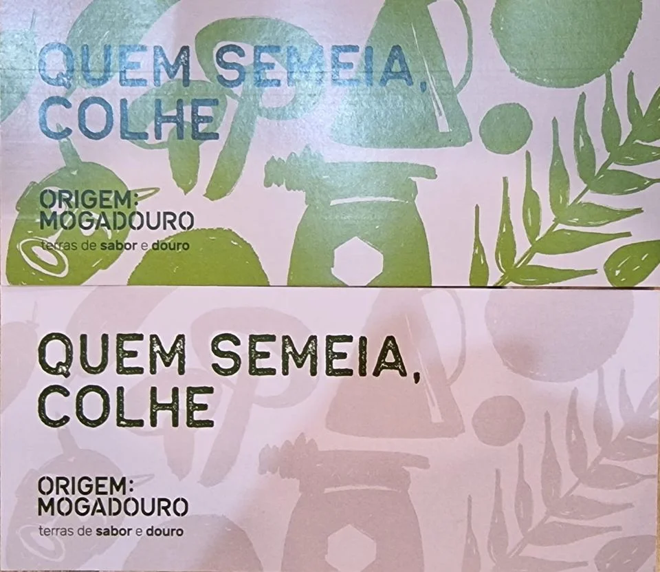 sorteio 2